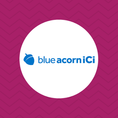  Blue Acorn iCi 